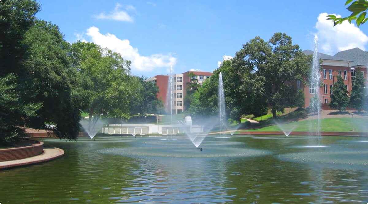 Quali sono le scelte di veicoli più popolari a Clemson?